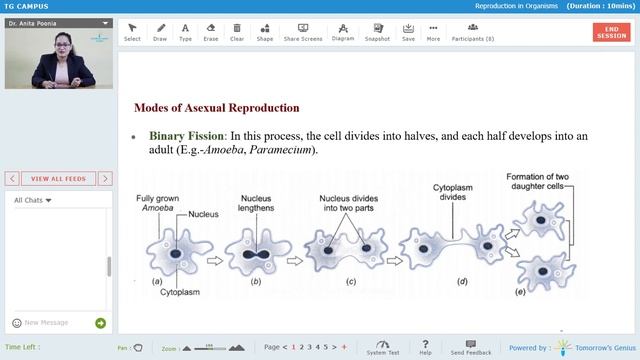 An interesting sneak-peek into the concepts of Reproduction and Regeneration смотреть онлайн