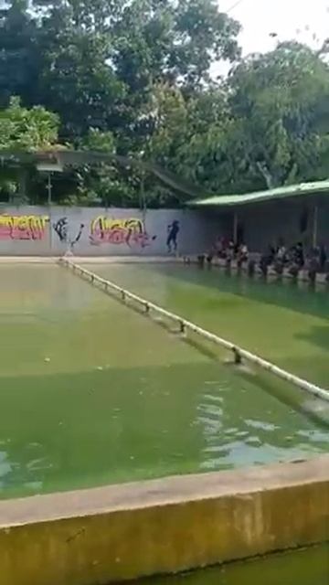 Aska fising смотреть онлайн