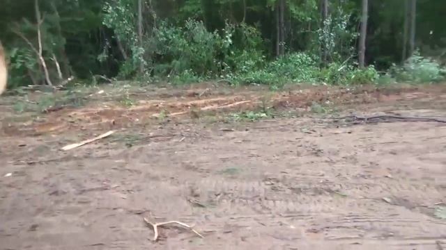 9 trees to make a load at more than 6,000 pounds per tree! смотреть онлайн