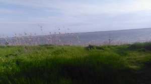 VID_20250416_081848.mp4