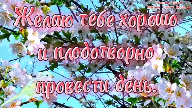 С Добрым Утречком и Хорошим Днём 🌷 смотреть онлайн