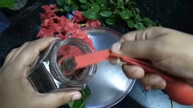 झड़ते बालो से गंजापन तक दूर करेगा Hibiscus Hair Oil | गुड़हल का तेल смотреть онлайн