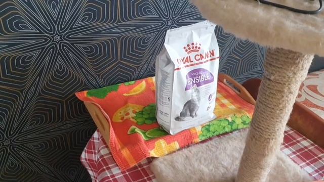 Любимый котик /Маленький хулиган / Чудо смотреть онлайн