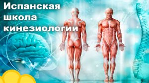 О чем семинар Психоэнергетическая кинезиология.