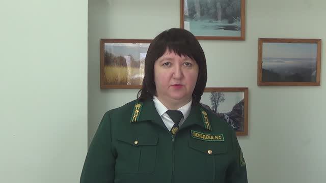 Н.Лебедева помощник руководителя ГКУ "Кувандыкское лесничество" о пожарной безопасности в лесах КМО смотреть онлайн