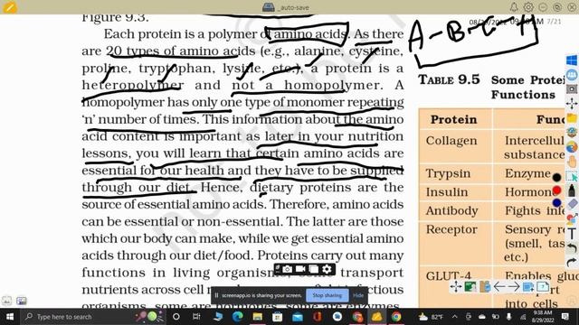Biomolecules | PROTEIN | ESSENTIAL AND NON ESSENTIAL AMINO ACIDS смотреть онлайн