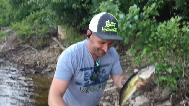 Rapala Jointed Shad Rap Walleye Catch and Release Wisconsin Dells Dam June 1, 2018 LyubakaVideo смотреть онлайн