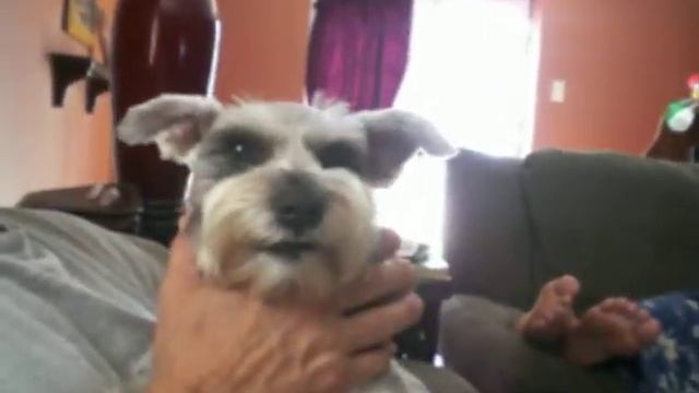 Sadie's Angry Grr Face смотреть онлайн