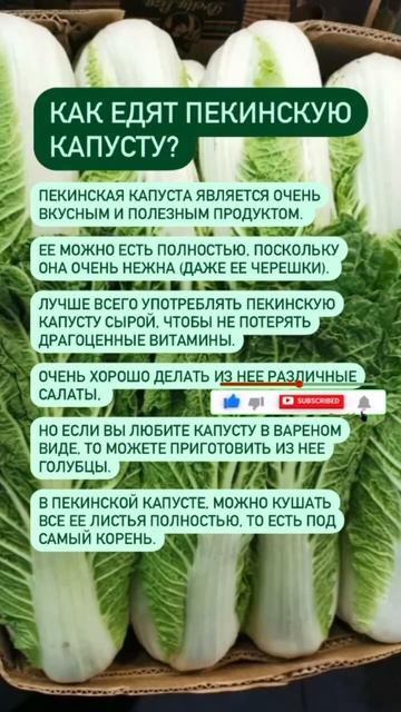Как едят пекинскую капусту? #здоровье #иммунитет #кишечник #лишнийвес #здоровьеженщины смотреть онлайн