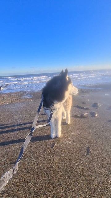 17 January 2024 смотреть онлайн