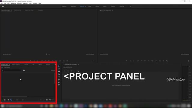 Learn Adobe Premiere Pro Interface in 1 minute смотреть онлайн