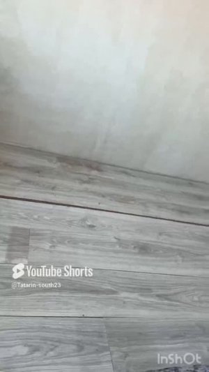 Утро мечта #shortvideo #рыбалка #дом #ремонтвдоме #стройка #home #вседляремонта