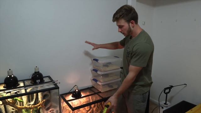 My Animals and I AFTER THE STORM! (HURRICANE DORIAN) смотреть онлайн