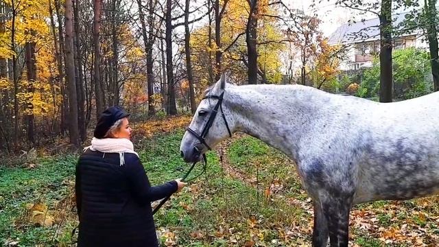 Самая теплая осень