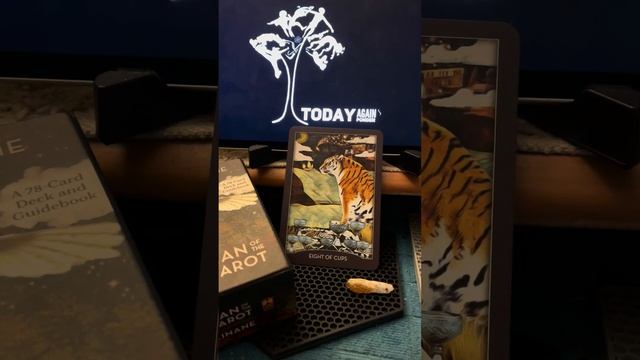 tarot 8 cups смотреть онлайн