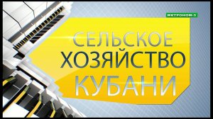РАЗВИТИЕ СЕЛЬСКОГО ХОЗЯЙСТВА В КРАСНОДАРСКОМ КРАЕ