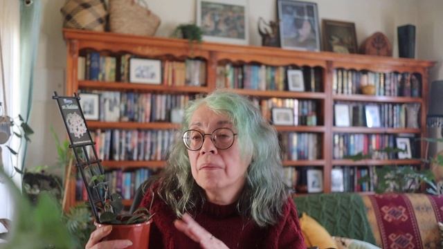 My Newest Plants, including Hoyas | October 2021 смотреть онлайн