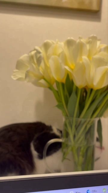 Женские радости смотреть онлайн