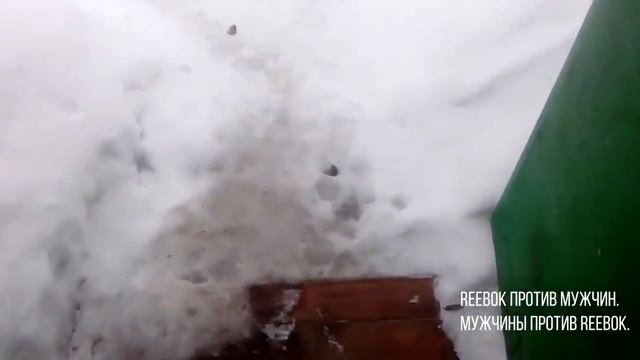 СЖИГАНИЕ / BURNING ADIDAS REEBOK PROTEST 2 смотреть онлайн