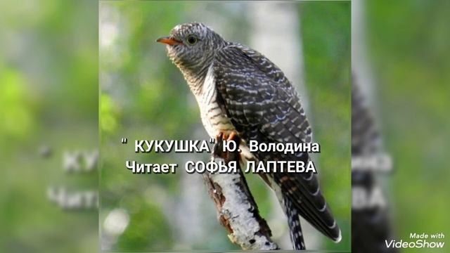 День птиц в группе "Светофорики" смотреть онлайн