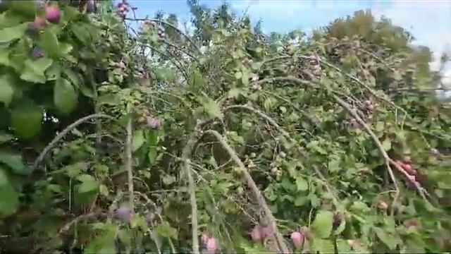 8 ноября 2023 г. смотреть онлайн