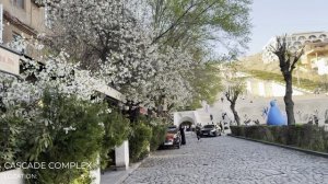 🌷 Ереван в апреле 🌆 | Атмосфера весенней прогулки по городу, где каждое мгновение прекрасно 💖🌿