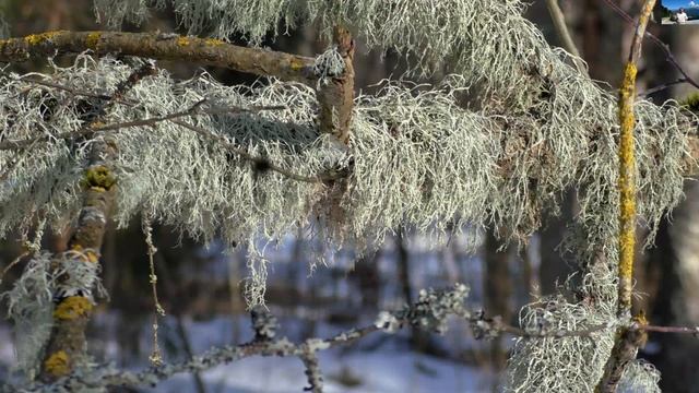 природа белорусской глубинки смотреть онлайн