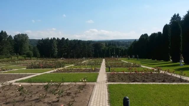 Июль 2014 отпуск смотреть онлайн