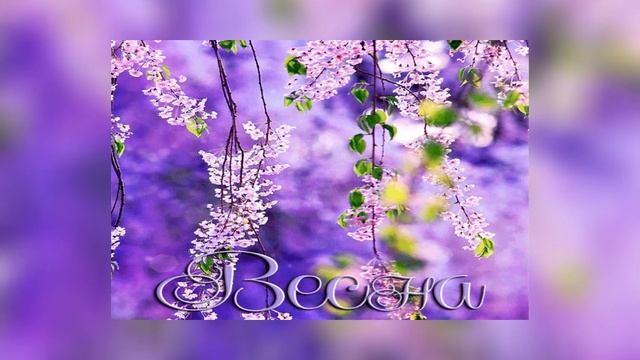 julia sakura-ВЕСНА смотреть онлайн