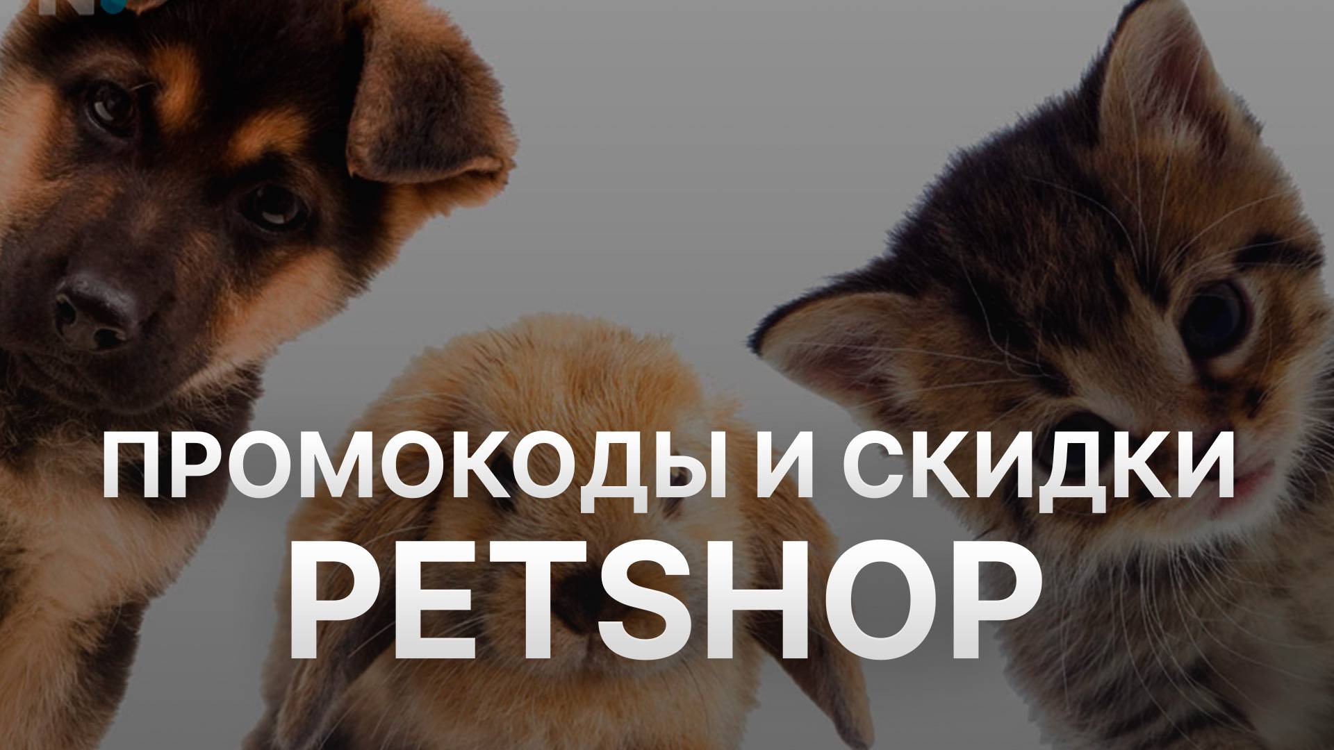 ⚠️ Промокод Petshop 2025: Скидки и Купоны Петшоп - Промокоды Petshop смотреть онлайн
