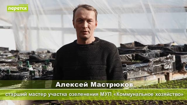 Зеленодольские озеленители готовятся к летнему сезону смотреть онлайн