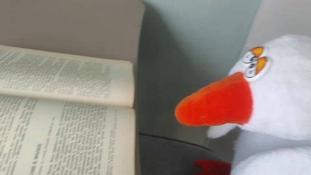 Гусь читает книгу смотреть онлайн
