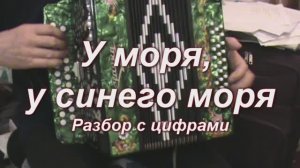 У моря, у синего моря. (045 гармонь с цифрами)
