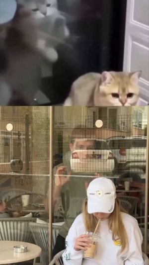 Не слышит и не видит ￼