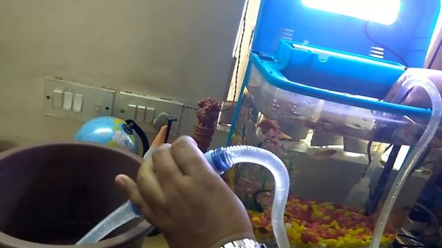 How To Clean Aquarium With Cleaner Pump смотреть онлайн