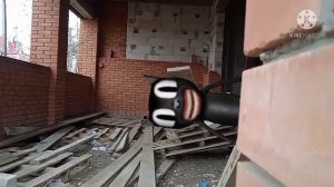 ОХОТА НА КАРТУН КЭТ В ЗАБРОШКЕ