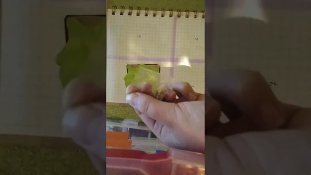 Розпаковка/бумажных сюрпризов.Ростения,радужни-е друзья, пончики🍩.