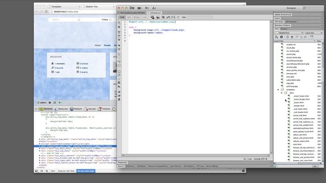 Create a Dolphin Template Part 1 смотреть онлайн