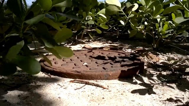Throws into the top, cast iron manhole covers смотреть онлайн