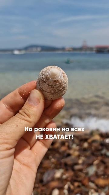 Привозите ракушки из отпуска? смотреть онлайн