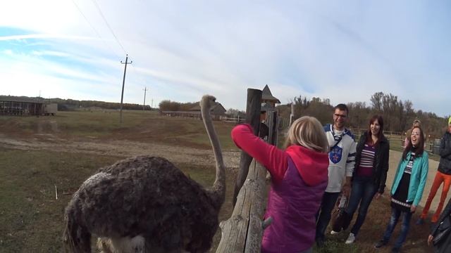 Олеся и ее Бред Питт смотреть онлайн