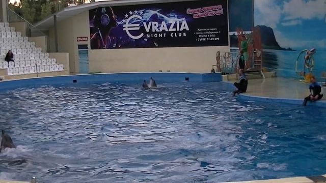 АНАПСКИЙ ДЕЛЬФИНАРИЙ 2014 год смотреть онлайн
