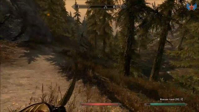 На пути к Снежной Завесе - [TESV: Skyrim #35] смотреть онлайн