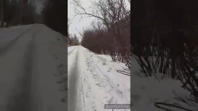 Zaozernyi 2020🚴♂️🚲 смотреть онлайн