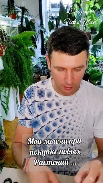 новые хойи смотреть онлайн