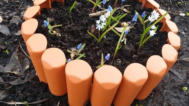 Открытие дачного сезона!!! Колосись газон))) 20.04.2019 смотреть онлайн