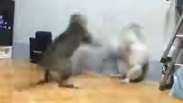 Как кошки выясняют отношения смотреть онлайн