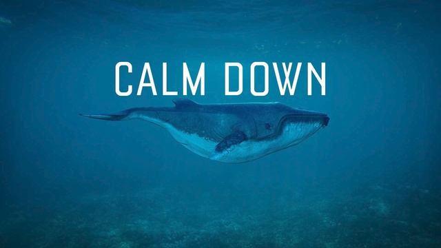 Calm Down - Whales смотреть онлайн
