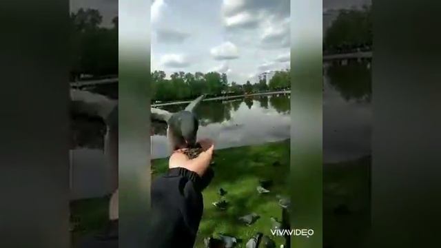 Москва карантин смотреть онлайн
