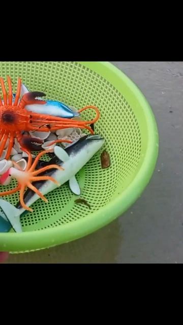 Membersihkan hewan laut lobster, lumba-lumba, ikan paus, gurita смотреть онлайн